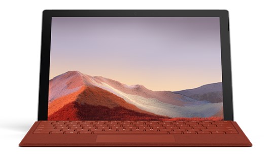 芦山清洁和维护 Surface